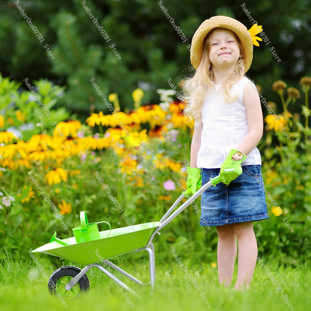 Kids Outdoor Wheelbarrow, Gree - Kids Outdoor Activity Set ulasan dan harga